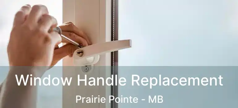  Window Handle Replacement Prairie Pointe - MB