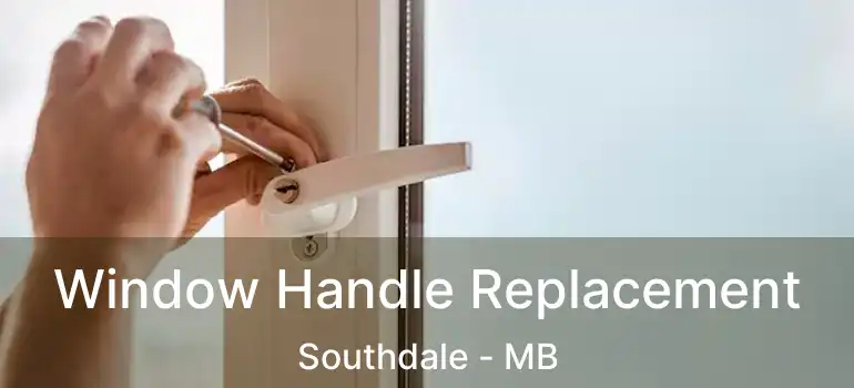  Window Handle Replacement Southdale - MB