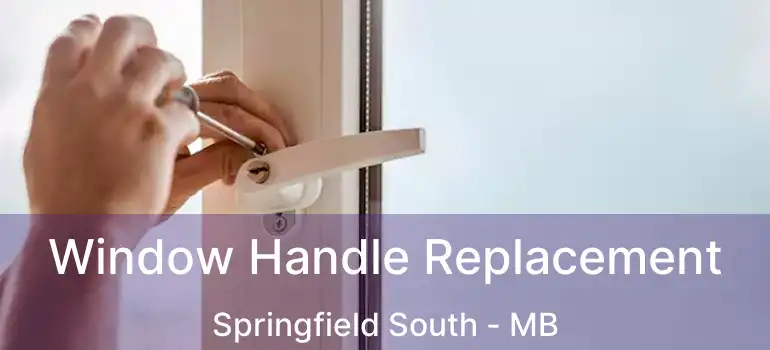  Window Handle Replacement Springfield South - MB