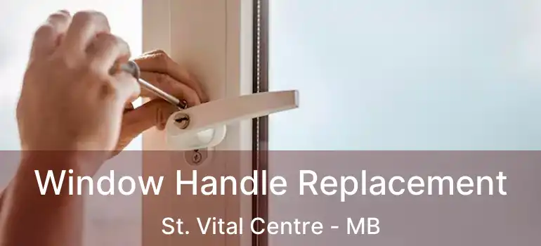  Window Handle Replacement St. Vital Centre - MB