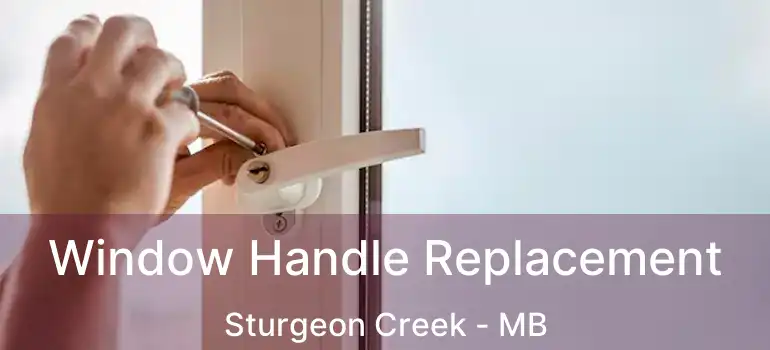  Window Handle Replacement Sturgeon Creek - MB