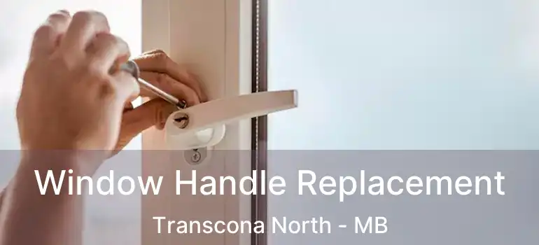  Window Handle Replacement Transcona North - MB