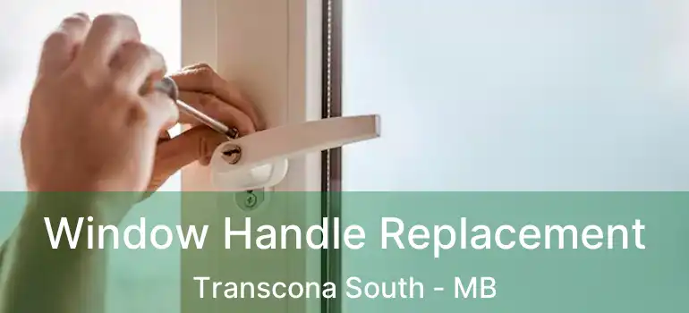  Window Handle Replacement Transcona South - MB