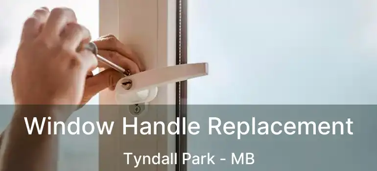  Window Handle Replacement Tyndall Park - MB