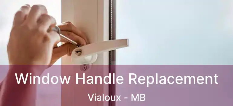  Window Handle Replacement Vialoux - MB