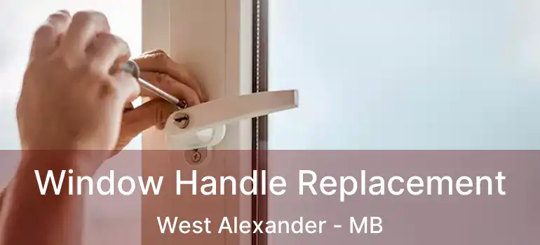  Window Handle Replacement West Alexander - MB