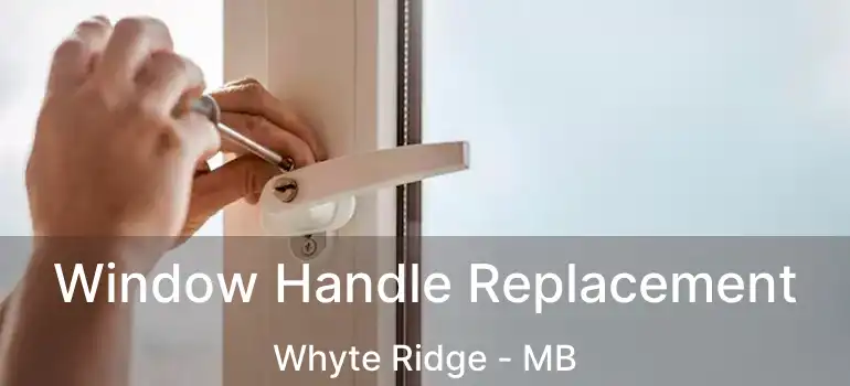  Window Handle Replacement Whyte Ridge - MB