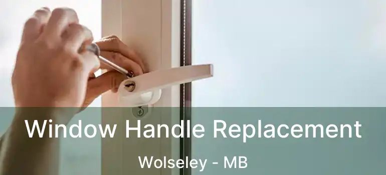  Window Handle Replacement Wolseley - MB