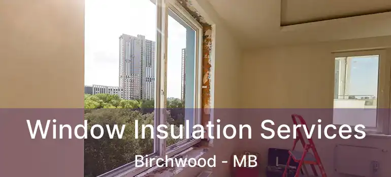  Window Insulation Services Birchwood - MB