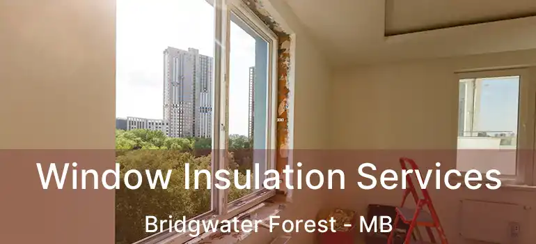  Window Insulation Services Bridgwater Forest - MB
