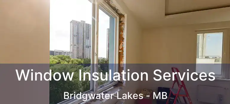  Window Insulation Services Bridgwater Lakes - MB