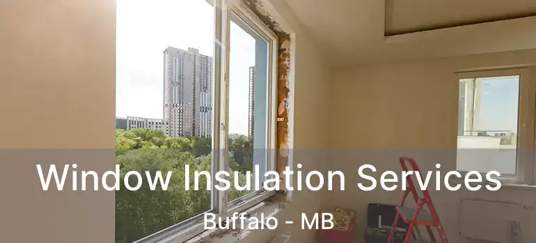  Window Insulation Services Buffalo - MB
