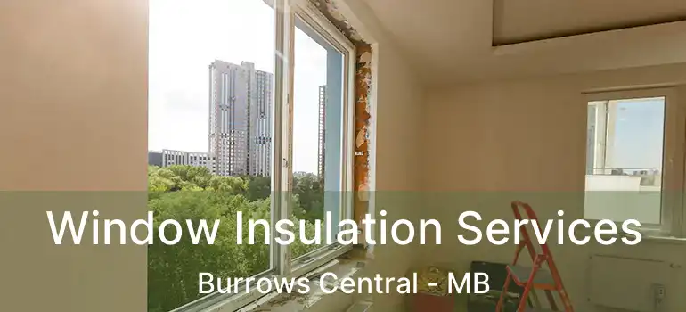  Window Insulation Services Burrows Central - MB