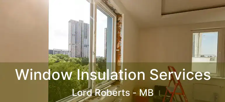 Window Insulation Services Lord Roberts - MB