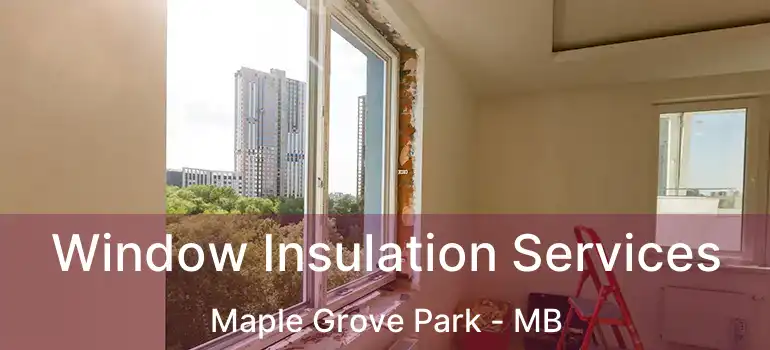  Window Insulation Services Maple Grove Park - MB
