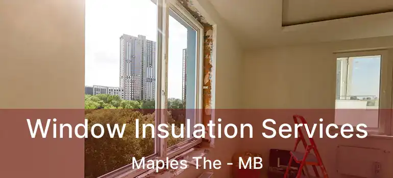  Window Insulation Services Maples The - MB