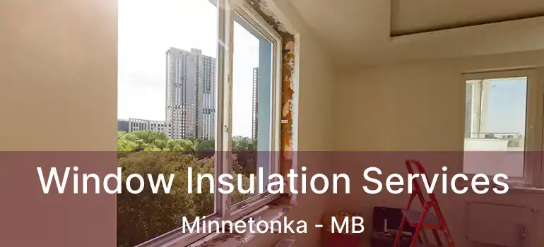  Window Insulation Services Minnetonka - MB