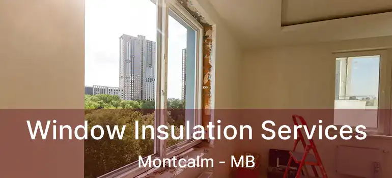  Window Insulation Services Montcalm - MB