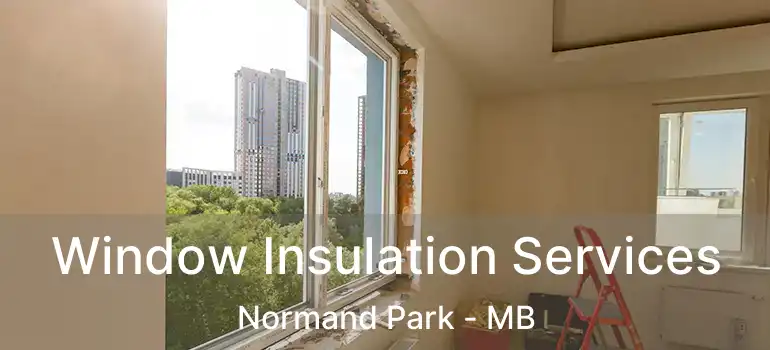  Window Insulation Services Normand Park - MB