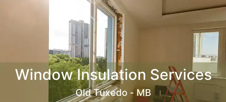  Window Insulation Services Old Tuxedo - MB