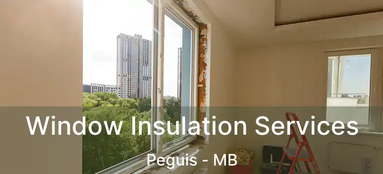  Window Insulation Services Peguis - MB
