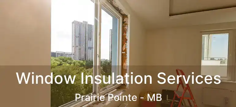  Window Insulation Services Prairie Pointe - MB