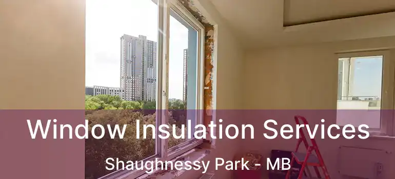  Window Insulation Services Shaughnessy Park - MB