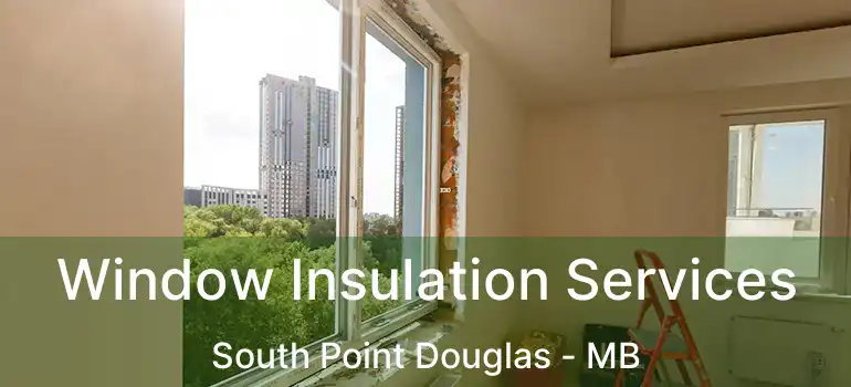  Window Insulation Services South Point Douglas - MB