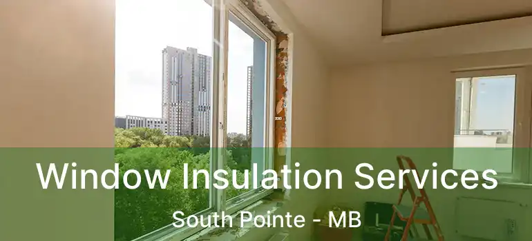  Window Insulation Services South Pointe - MB