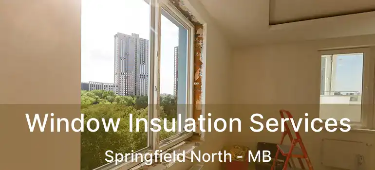  Window Insulation Services Springfield North - MB