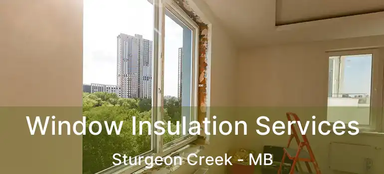  Window Insulation Services Sturgeon Creek - MB
