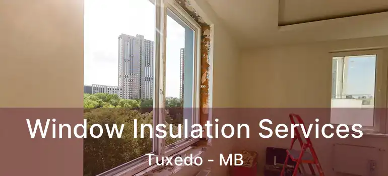  Window Insulation Services Tuxedo - MB