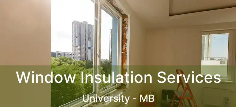  Window Insulation Services University - MB