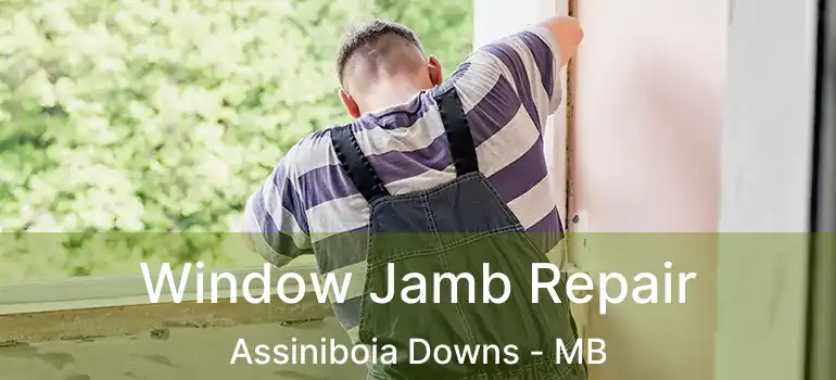  Window Jamb Repair Assiniboia Downs - MB