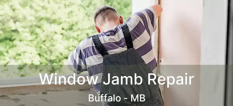  Window Jamb Repair Buffalo - MB