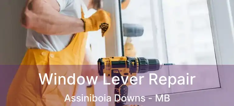  Window Lever Repair Assiniboia Downs - MB