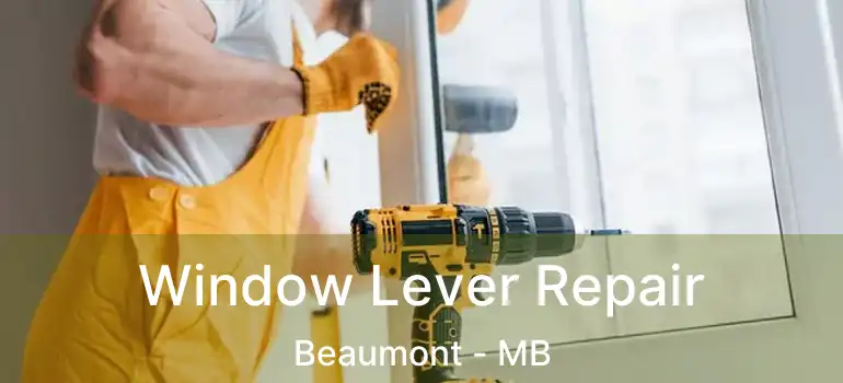  Window Lever Repair Beaumont - MB
