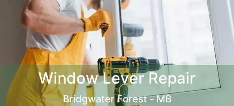  Window Lever Repair Bridgwater Forest - MB