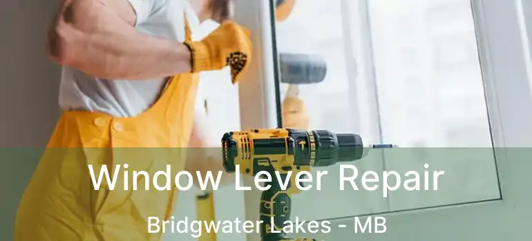  Window Lever Repair Bridgwater Lakes - MB