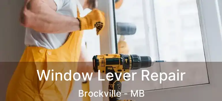  Window Lever Repair Brockville - MB