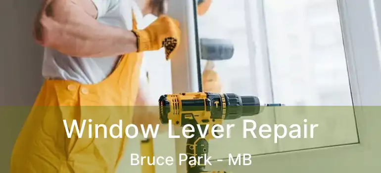  Window Lever Repair Bruce Park - MB