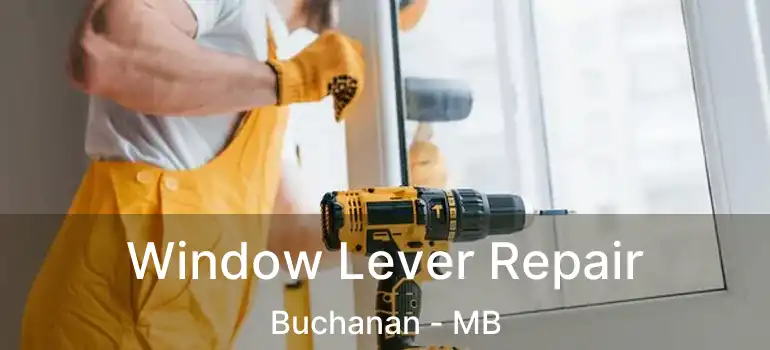  Window Lever Repair Buchanan - MB