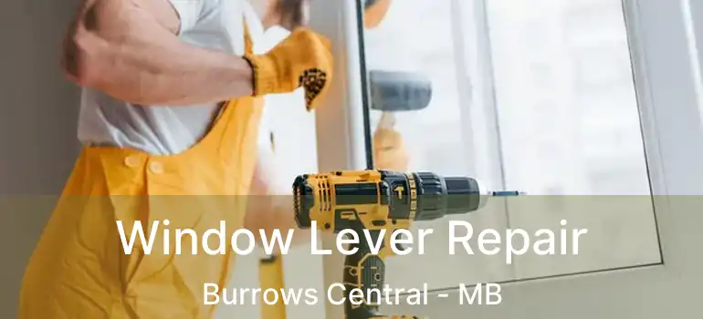  Window Lever Repair Burrows Central - MB