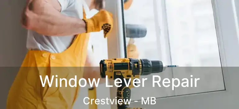  Window Lever Repair Crestview - MB