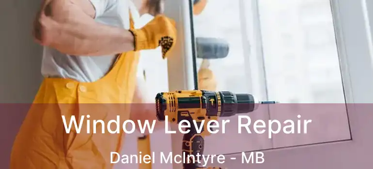  Window Lever Repair Daniel McIntyre - MB