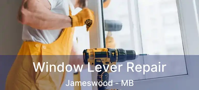  Window Lever Repair Jameswood - MB