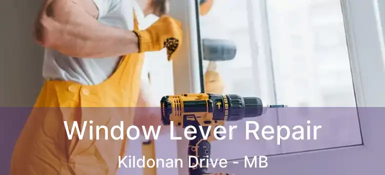  Window Lever Repair Kildonan Drive - MB