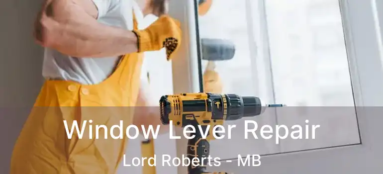  Window Lever Repair Lord Roberts - MB