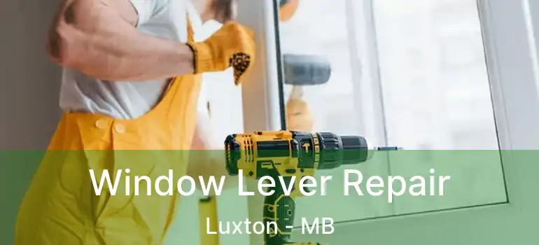  Window Lever Repair Luxton - MB