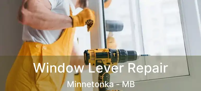  Window Lever Repair Minnetonka - MB